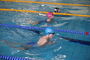 Vogtlandschwimmcup2025 (38).JPG