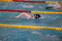 Vogtlandschwimmcup2025 (52).JPG