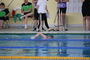 Vogtlandschwimmcup2025 (66).JPG