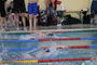 Vogtlandschwimmcup2026 (27).JPG