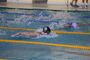Vogtlandschwimmcup2025 (20).JPG