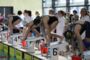 Vogtlandschwimmcup2023_(27).JPG