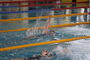 Vogtlandschwimmcup2025 (26).JPG