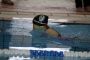 Sprintpokal_Greiz_201926.jpg