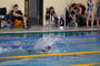 Vogtlandschwimmcup2026 (12).JPG