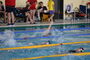 Vogtlandschwimmcup2026 (7).JPG
