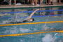 Vogtlandschwimmcup2026 (10).JPG