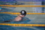 Vogtlandschwimmcup2025 (41).JPG